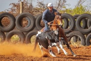 Ovation Places 3rd on her Draft Debut