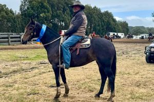 Clearchoice Contikit with rider David Murphy in the saddle winning the Novice campdraft at Wannon River