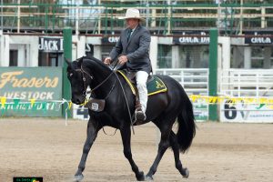 Kirkbys Stud Credit – HSH