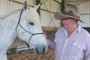 Celebrating 70 Years of Performance Breeding at Kirkbys Stud