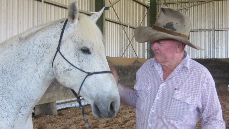 Celebrating 70 Years of Performance Breeding at Kirkbys Stud