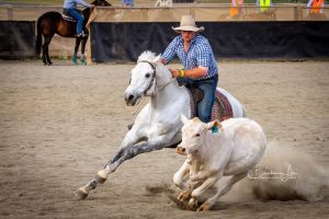 Kirkbys Stud Elvis – HSH
