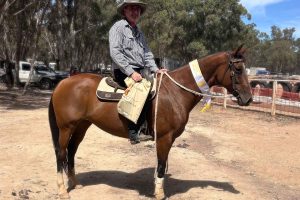 Kaspers Versace at the Maldon Campdraft