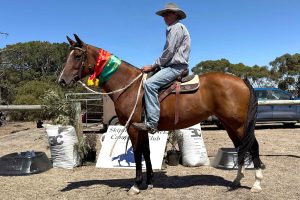 What a campdrafting duo these two will become!