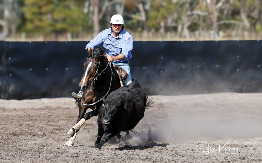 Clearchoice Contikit with rider David Murphy in the saddle winning the novice campdraft at Wannon River