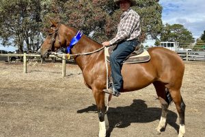 Versace wins Hawkesdale Open Campdraft