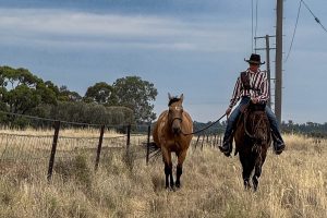 Outback Long Ride