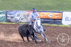 Kirkbys Stud Counterfeit – HSH