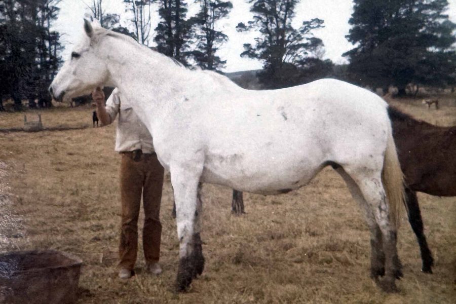 KIRKBYS WHITEY – FM HSH