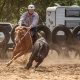 Kirkbys Stud Marvel – HSH