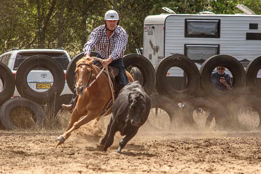 Kirkbys Stud Marvel – HSH