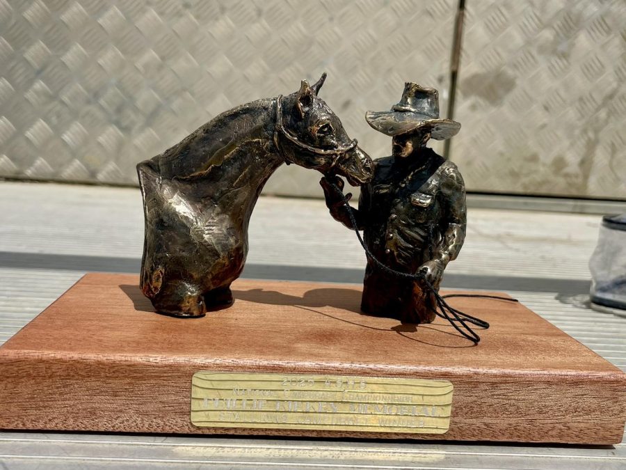 ASH National Stallion Draft Sponsorship