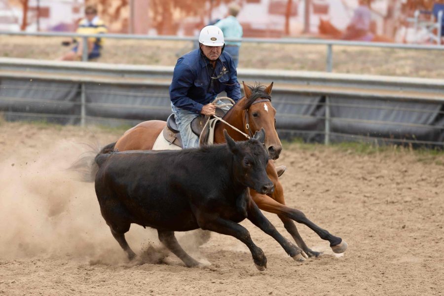 Conbrace cracks Novice on 1st start!