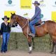 Record Breaking $170k for McNamara Conbrace!