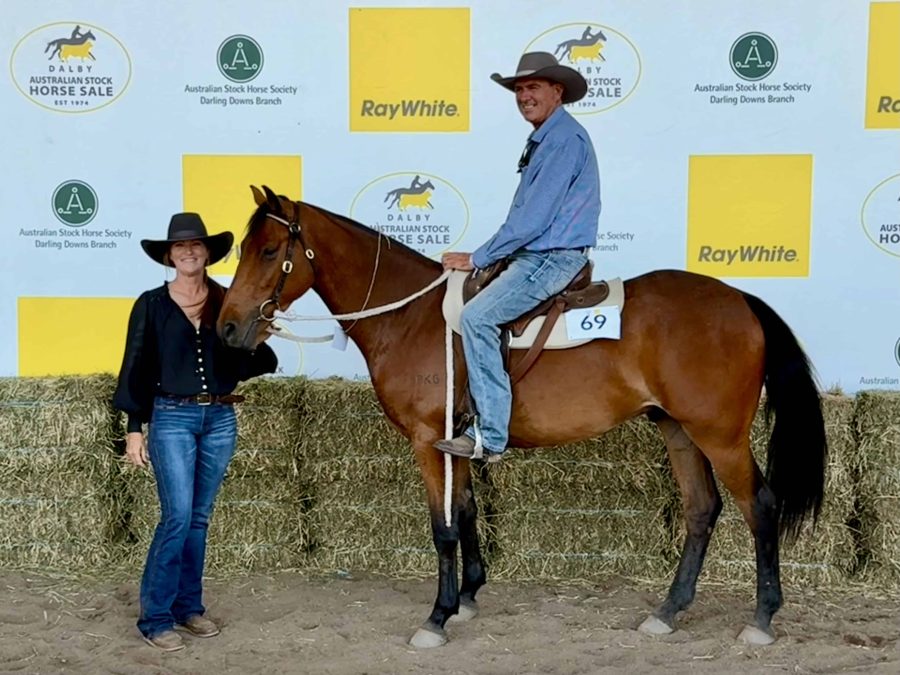 Cracking Start for Dalby Sale Horse