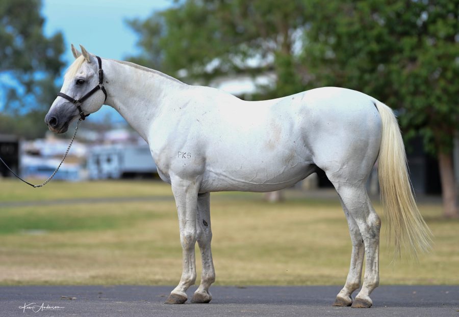 Welcome to the stud Elvis!