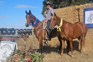 WDCA…5 horses = 6 ribbons!